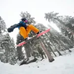 Snowy Escapes 2025–26, Winter Travel