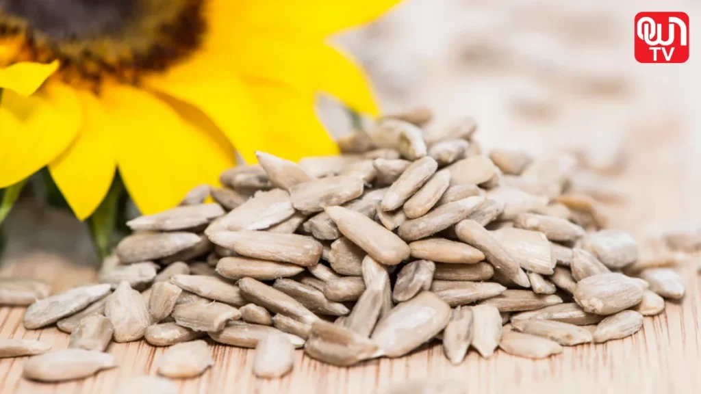 Sunflower Seeds Benefits